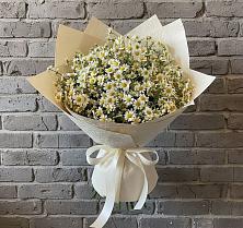 Букет цветов из:  Ромашки #REPLACE_PRED# Мекенской