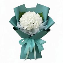Букет цветов из:  Гортензия в Мекенской